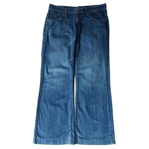 James Jeans Fly Boy Flare Jeans Size 28